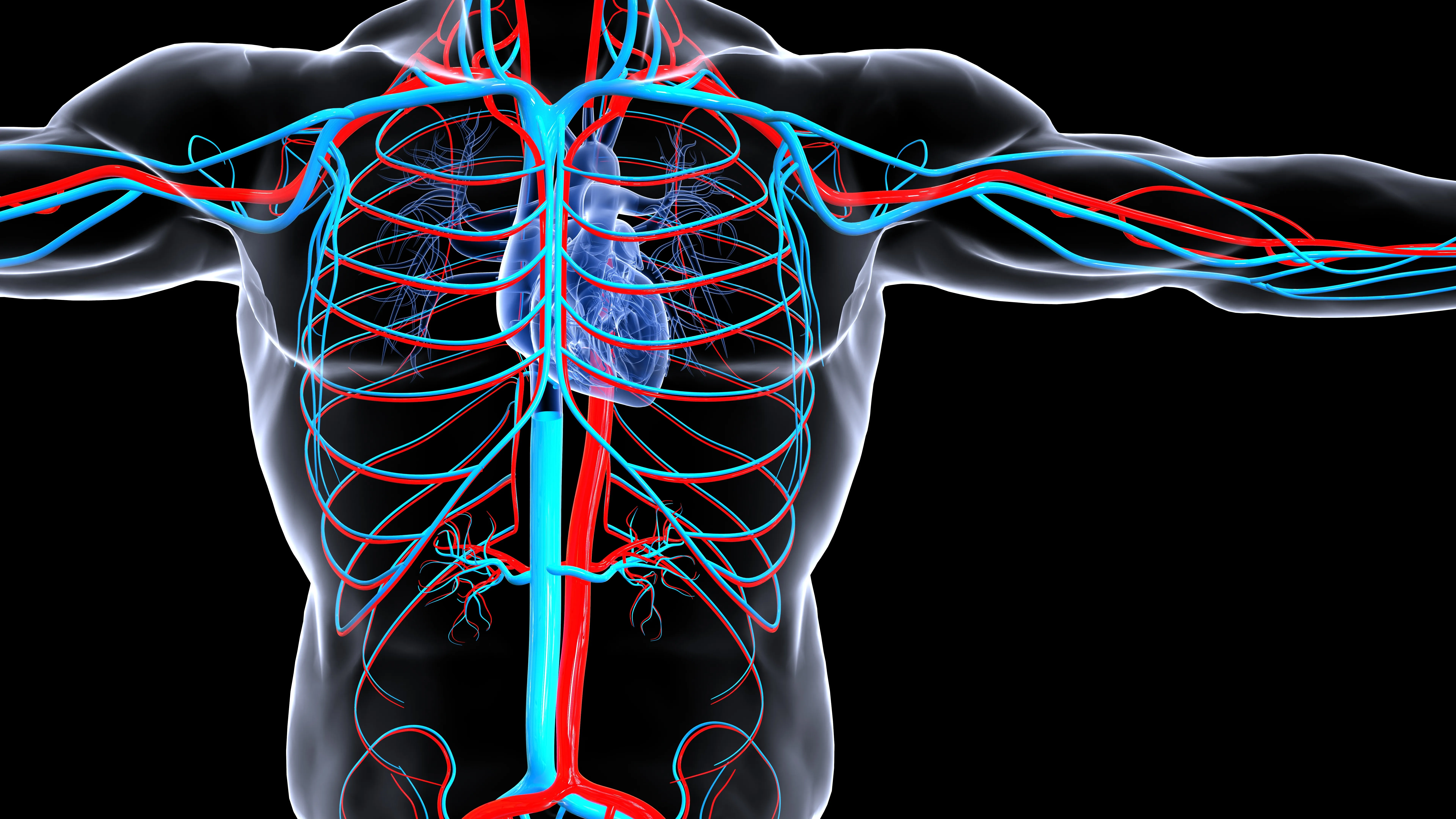 大動脈疾患・末梢動脈疾患について