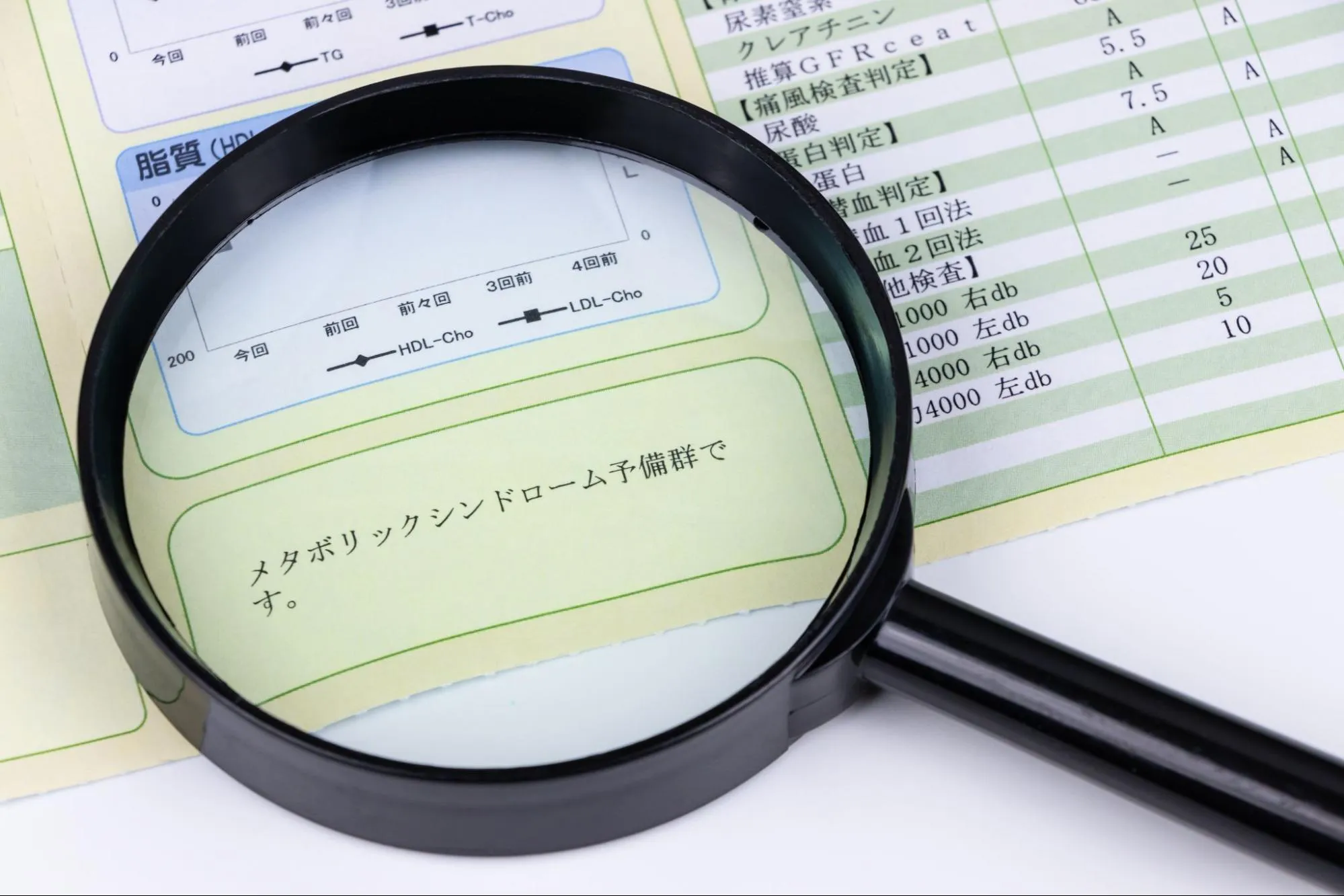 健診で指摘されやすい項目について