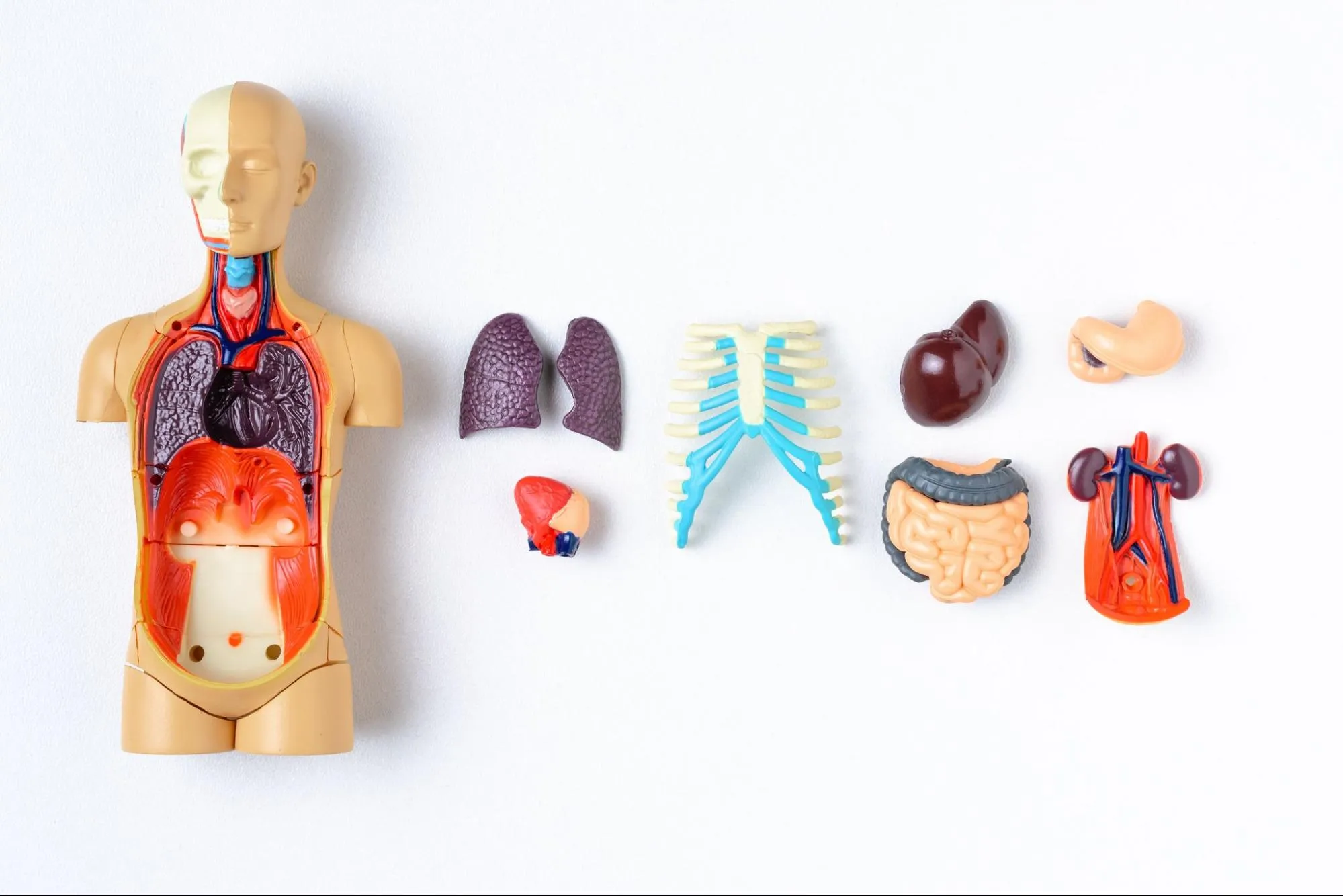 高血圧に関連する病気