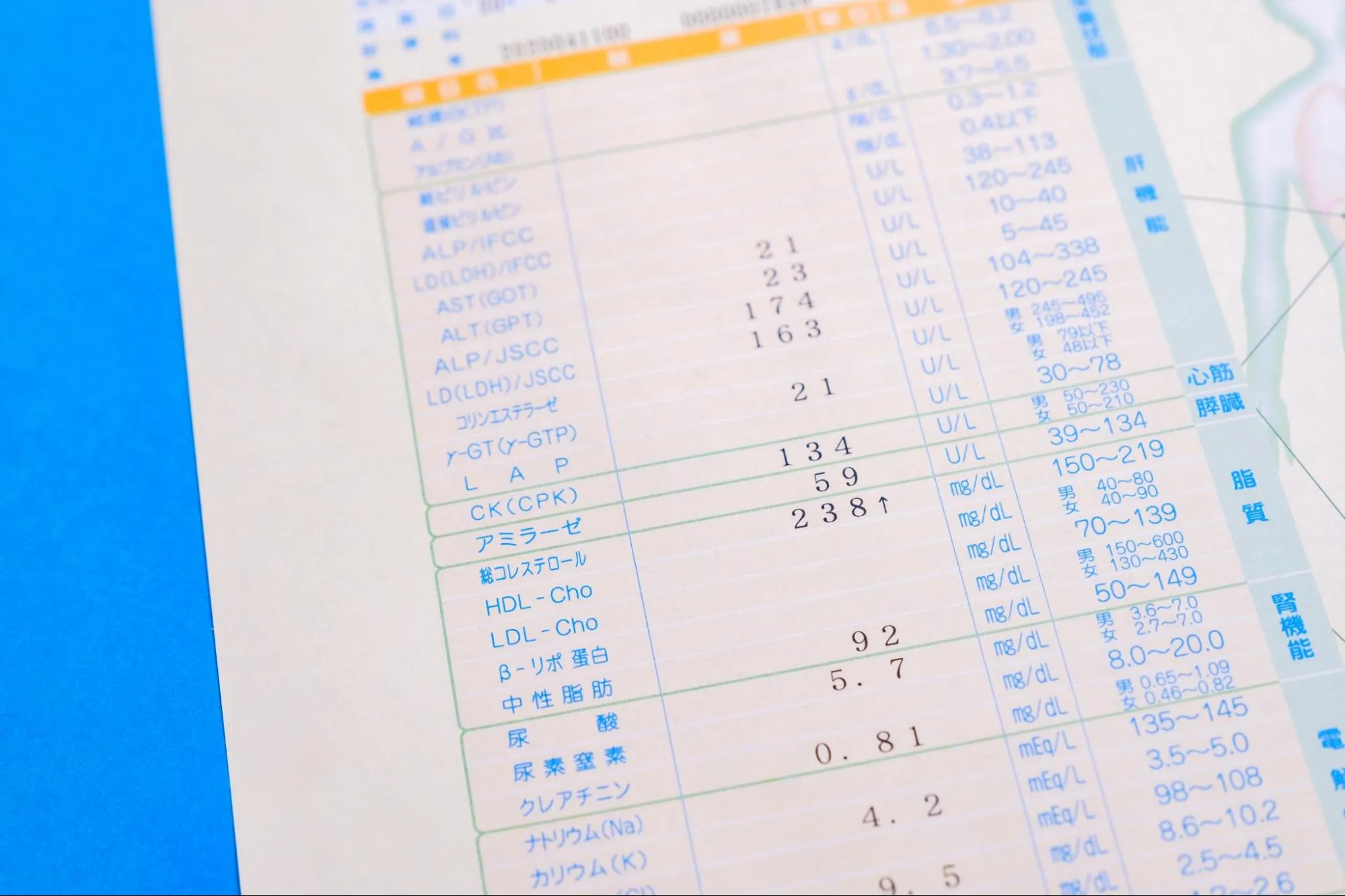 特定健診の検査項目
